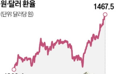 연초 고공행진 환율, 하반기엔 1300원대…상고하저 흐름 예상