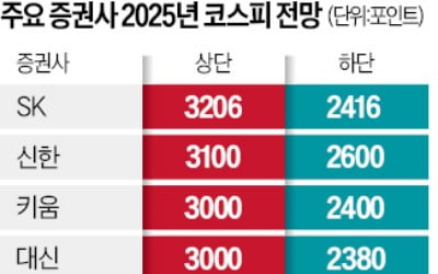 '극단적 저평가' 코스피…"최고 2850~3200 갈 것"