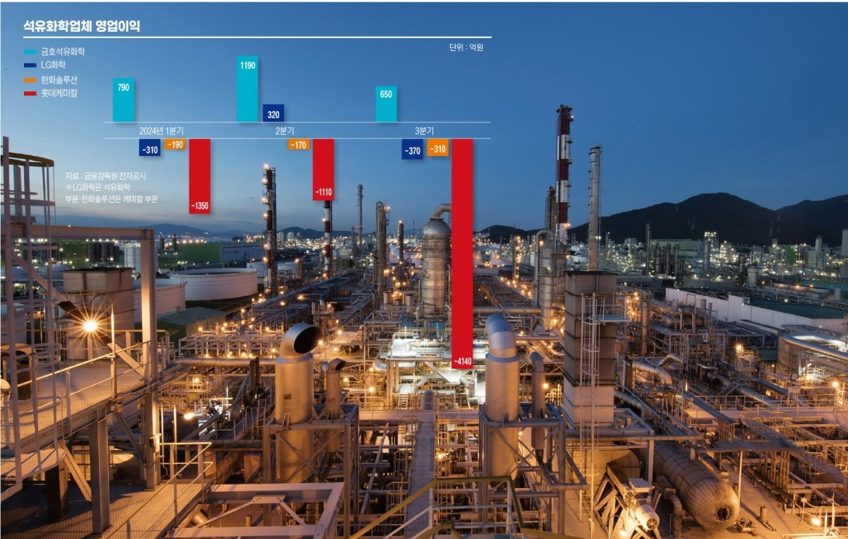 공멸 위기에 ‘계엄 쇼크’ 덮친 석유화학, 구조조정 골든타임 놓칠라 ‘속앓이’