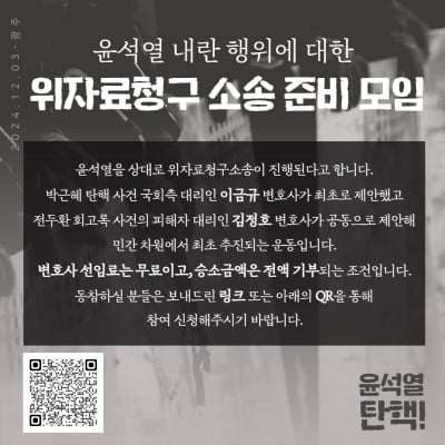 '내란혐의' 尹에 정신적 손해배상 소송 추진한다…1인당 10만원 위자료