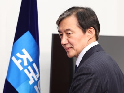 '징역 2년 확정' 조국 입감 전 전한 마지막 메시지는