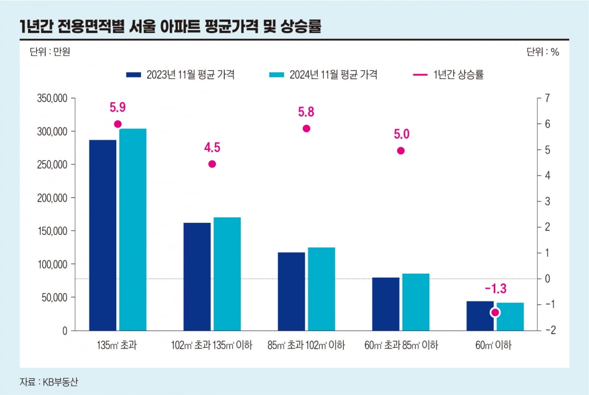 대형 평수도 ‘옥석 가리기’…집값 상승은 이제 부자들만 누리나[비즈니스 포커스]