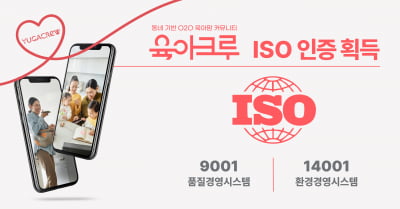 다이노즈, ISO 9001·14001 인증 획득