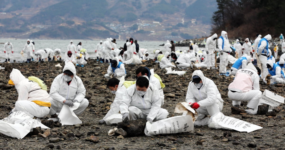 2007년 충남 태안 앞바다 기름 유출 사고가 발생하자 전국에서 자원 봉사자들이 모여 기름 제거 작업에 나섰다./연합뉴스