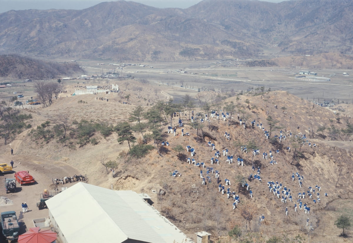 1960년대까지 한반도의 산은 대부분 민둥산이었다. 박정희 정부는 산림녹화 사업을 시작했다. 국민들은 배고픈 시절임에도 떼지어 산에 나무를 심으러 갔다./산림청