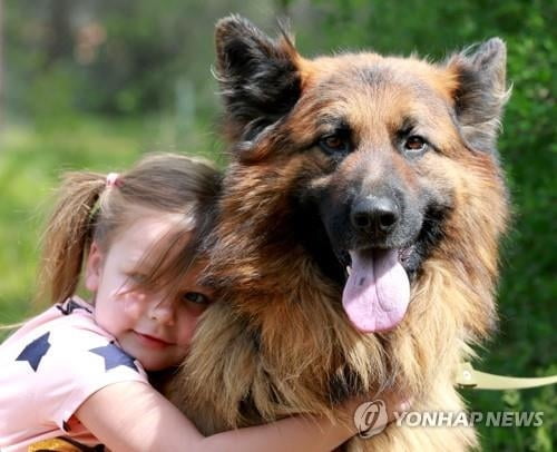 산타가 도왔나...9일 실종 반려견이 초인종 '딩동'