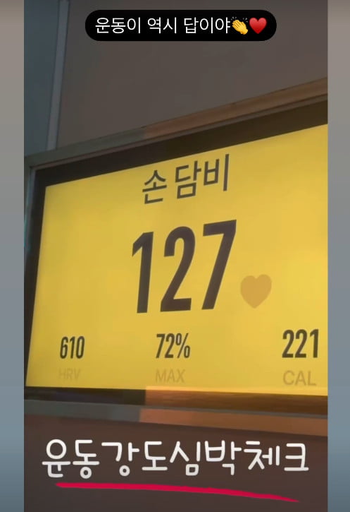 사진=손담비 SNS