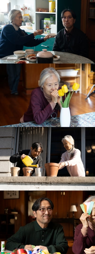 안석환, 초기 중증 인지기능 장애였다…♥예수정이 병 수발 ('실버벨이 울리면')