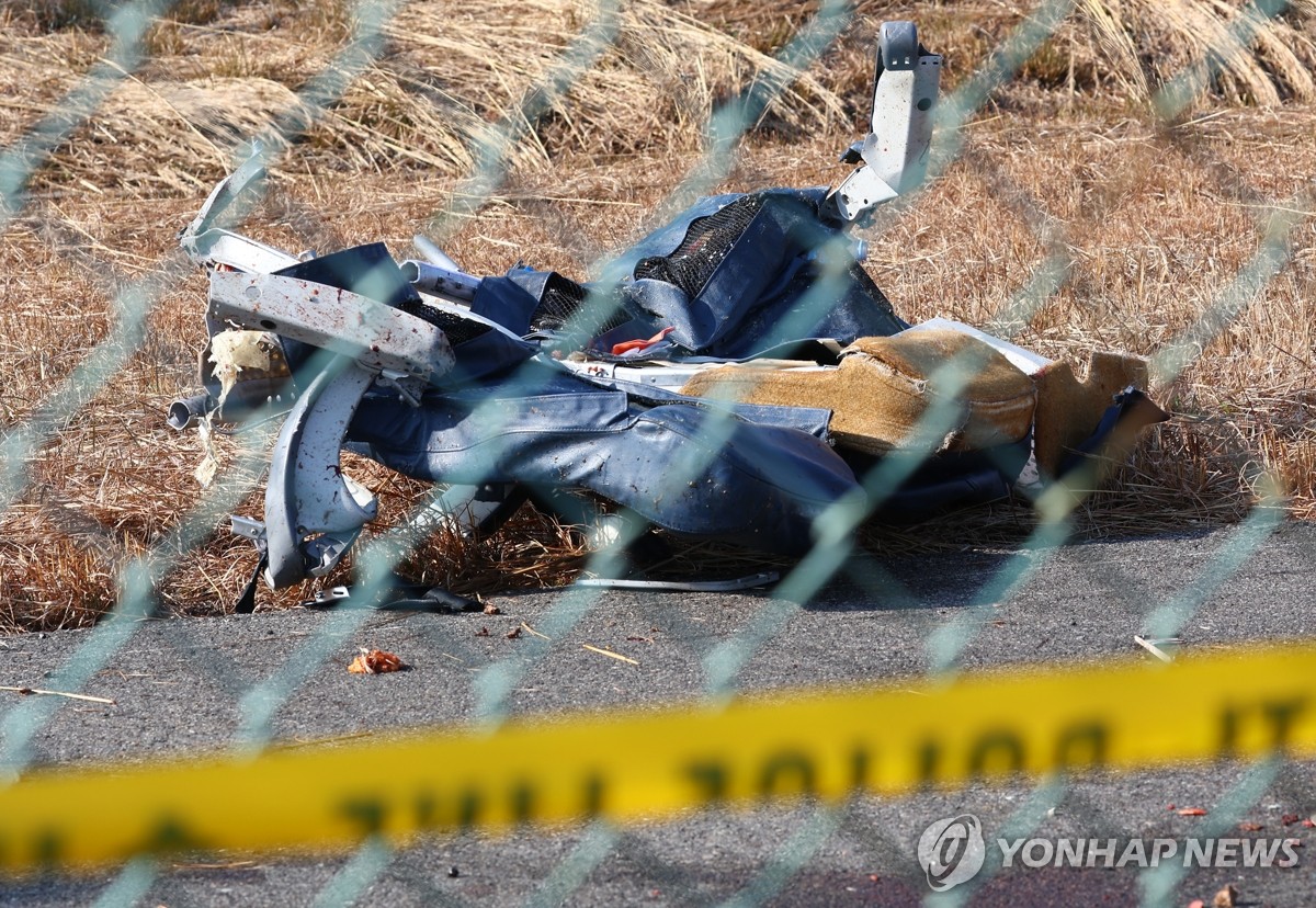 [속보] 정부 "관제탑서 제주항공 사고 여객기에 '조류 충돌' 주의"