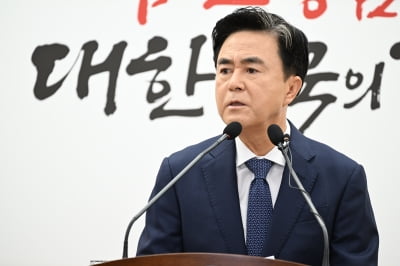 김태흠 충남지사 "국민의힘 전원 탄핵 표결해야…단합해야"