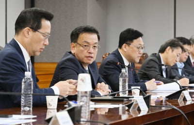 금융당국 "금융·외환 시장 정상화 때까지 유동성 무제한 공급"