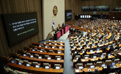 [속보] 與, '김여사 특검법' 표결 뒤 퇴장하기로…탄핵 표결은 불참