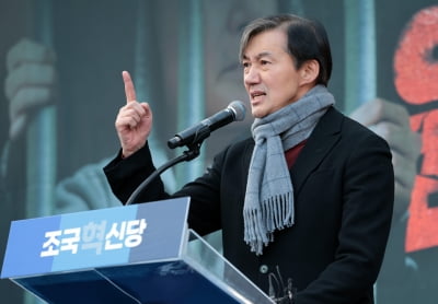 조국 "제 역할은 일단락…尹 탄핵·처벌·정권교체 완성해달라"