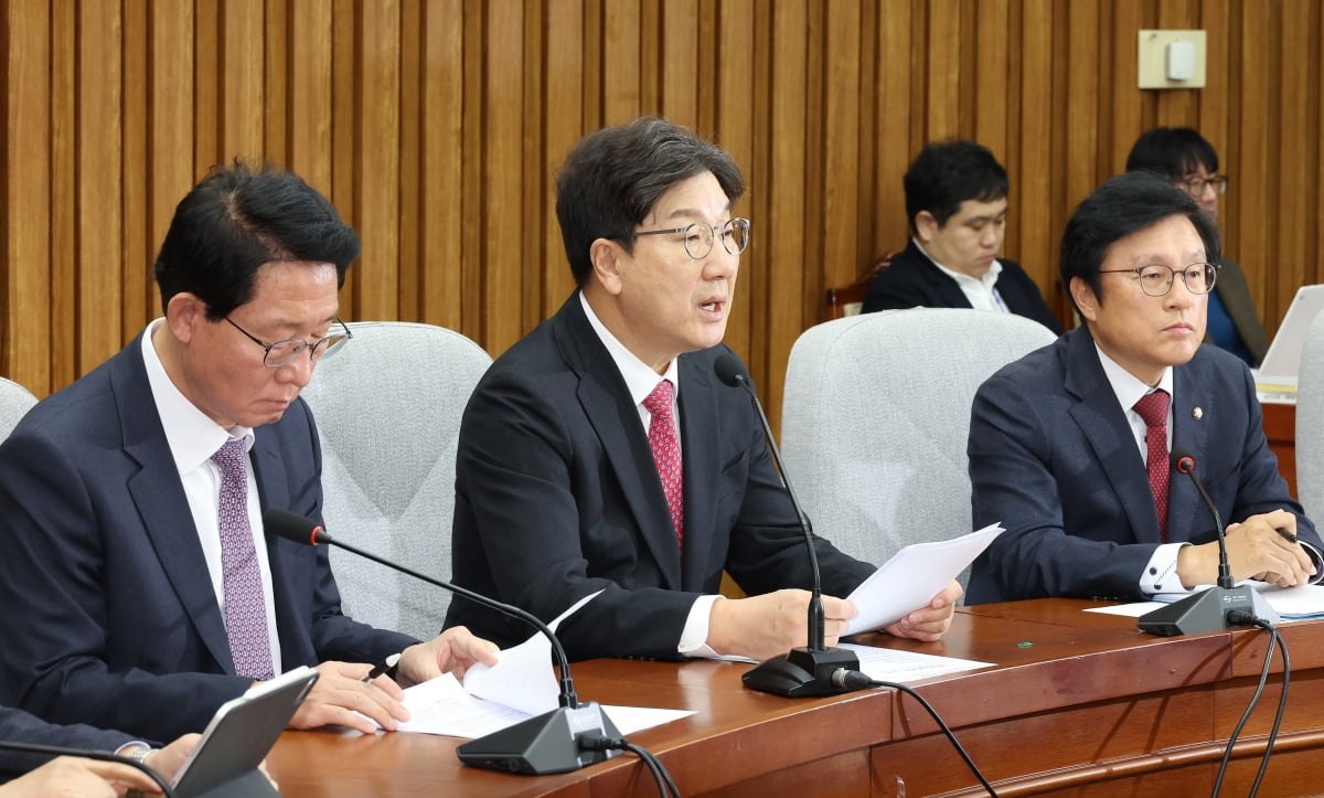 권성동 국민의힘 당 대표 권한대행 겸 원내대표(가운데)가 17일 오전 국회에서 열린 원내대책회의에서 발언하고 있다./ 사진=연합뉴스