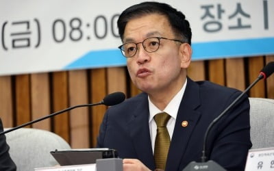 최상목 "국정중단 관련 불안요인 정치적 해소, 금융안정에 중요"