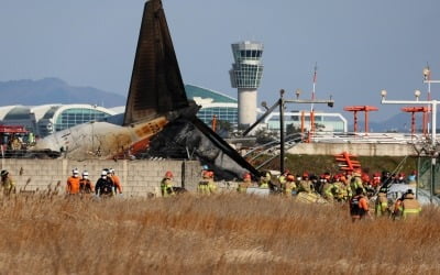 [속보] 소방청 "무안공항 사고 사망자 62명으로…임시 안치"