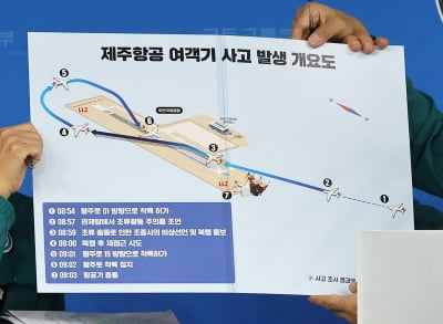 안전 강화 칼빼든 국토부, '보잉 737-800' 항공사에 감독관 파견