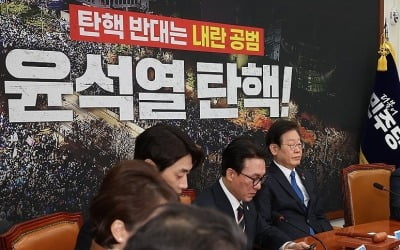 野 '내란사태 국조 요구서' 제출…"尹대통령 출석 추진"