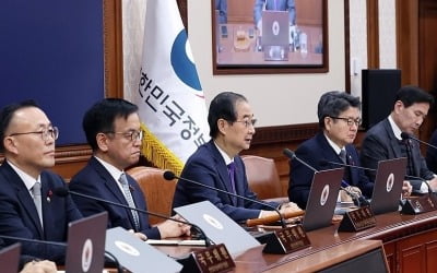 정부, 오늘 오전 임시국무회의…쟁점법안 거부권 논의할 듯