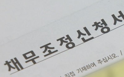 개인 채무조정 18만명 역대최다 눈앞…법인파산은 이미 최다