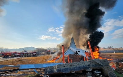 [속보] 무안공항 항공기 추락…탑승자 28명 사망