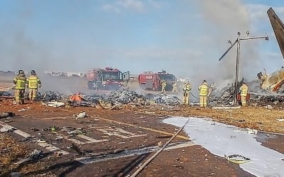 [속보] 소방청 "무안공항 여객기 사망자 85명…추가 확인 중"