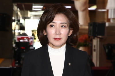 나경원, 尹 대국민담화 만류…"탄핵 당연히 부결"