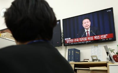 비상계엄 사태, 韓 신용등급 여파는…S&P "실질적 영향 없다"