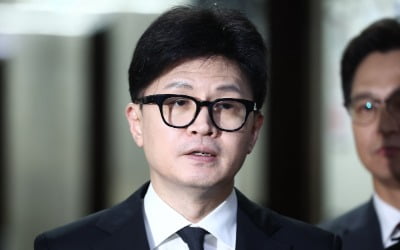 [속보] 한동훈 "당 대표가 국정 권한 행사못해…총리가 국정 챙겨"