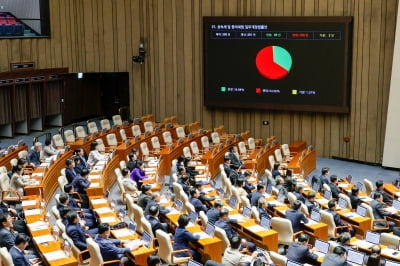 [속보] 상속세 최고세율 인하·공제 확대 법안 카지노 로얄 본회의서 부결