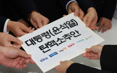 '조국 실형' 하루만에 백선희로 의원직 승계…"尹탄핵안 표결 참여"