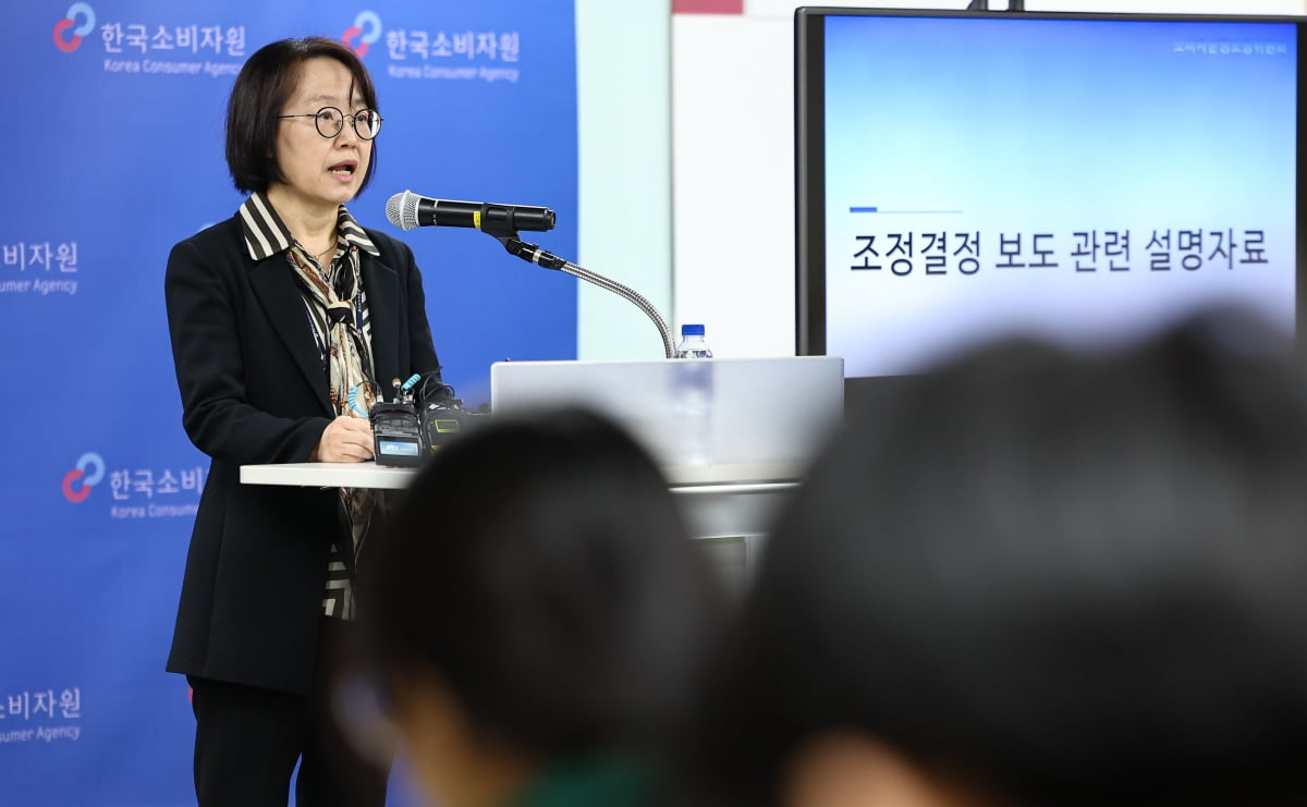 배삼희 한국소비자원 소비자분쟁조정위원회 상임위원이 19일 서울 송파구 한국소비자원 서울강원지원에서 티메프 사태에 따른 여행·숙박·항공 상품 집단분쟁조정 결정에 관한 브리핑을 하고 있다. 사진=뉴스1