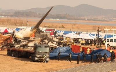 '조류 충돌' 경고 후 6분 만에 사고…"활주로 길이 영향 없어" [종합]