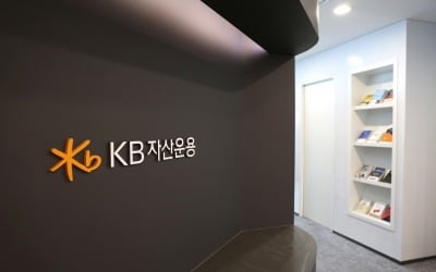 KB메이저카지노사이트 김영성 대표, 임기 마지막해 '군살 빼기' 나선 이유 [돈앤톡]