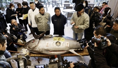 전세계 이목 끄는 日 첫 참치 경매…올해 낙찰가는 '20억원'