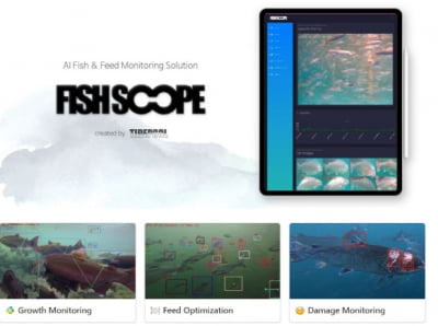 AI로 물고기 모니터링…양식 스타트업 타이드풀, 투자 유치 [고은이의 VC 토스 카지노]