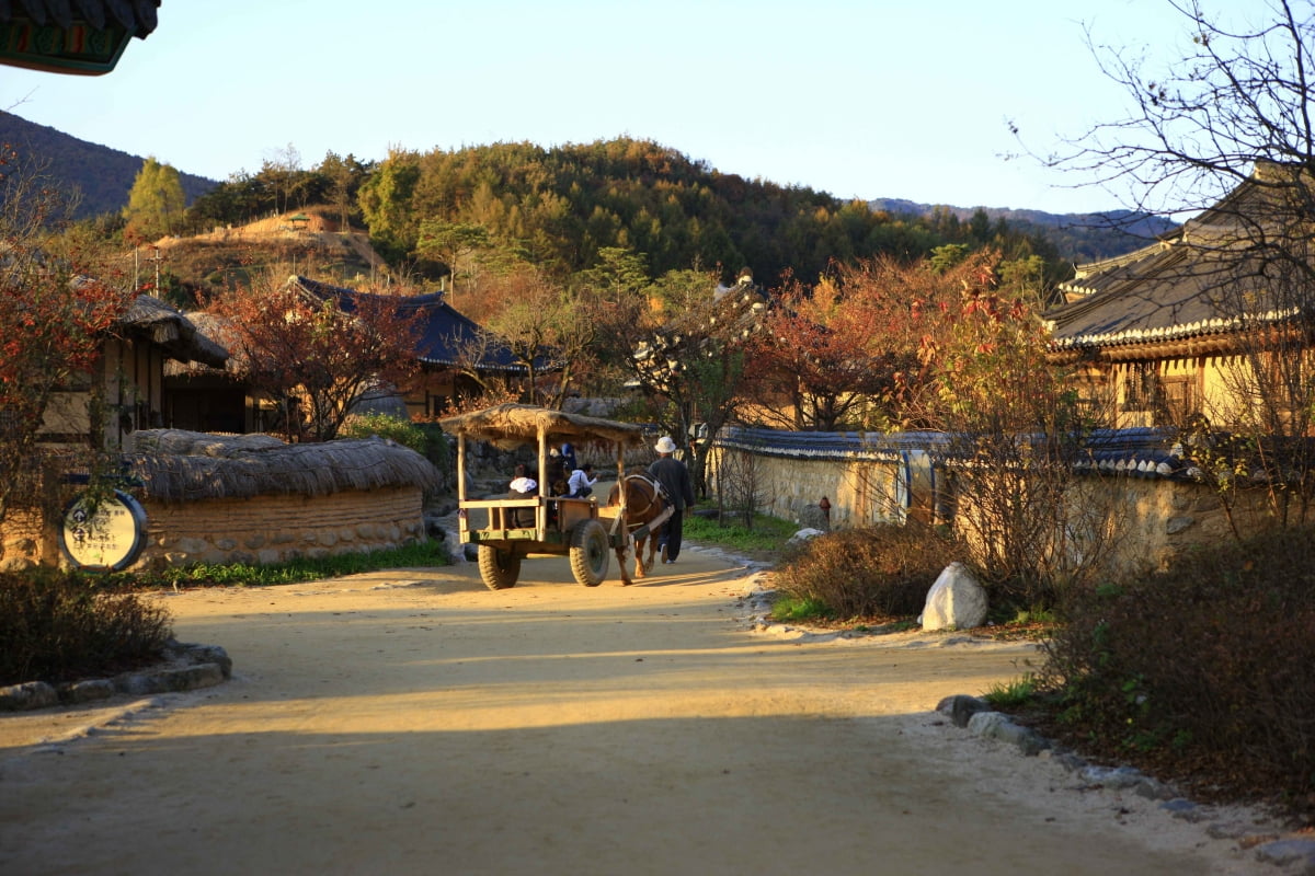 선비 문화 고장을 대표하는 영주 선비촌(사진=한국관광공사) 