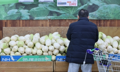 "제2의 金배추·무 사태 오나"...가락시장 2~3배 가격 '급등'