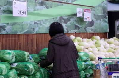 더 빨리, 더 길게…설 맞아 배추·무 할당관세 확대