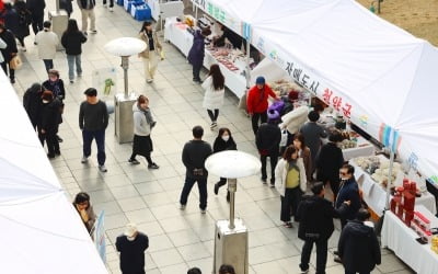 에볼루션 카지노 사이트 자치구들, 설 맞아 구청 앞 직거래 장터 열어 [메트로]