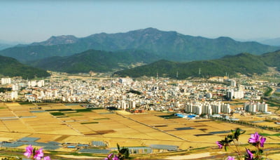 "서울 다 제쳤다"…집값 상승률 1위 동네 봤더니 '반전 결과'