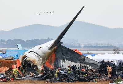 "양쪽 엔진 모두 오리와 충돌"…제주항공 사고 조사 결과 공개