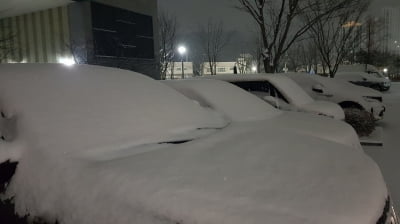 설날 당일에도 '폭설'…강풍까지 분다 [날씨]