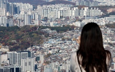 "차라리 월세 내고 살래요"…아파트 대신 '우르르' 몰린 곳