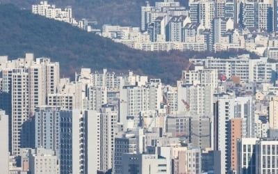 '노도강' 울상인데…"5개월새 집값 6억 껑충" 신바람 난 동네