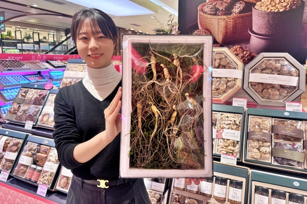 롯데백화점, 설 맞아 '국가 인증 산양삼' 선물세트 선보여