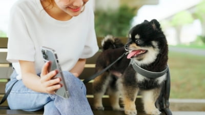 "물고기 먹이 줄 때마다 1만원"…설연휴 이색 알바 '눈길'