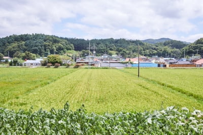 "감사합니다 조상님"…1조9400억원어치 땅 주인 찾았다