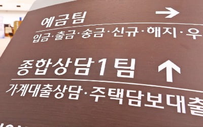 연 소득 1억, 대출 6억6000만원 → 5억6000만원으로 줄어든다