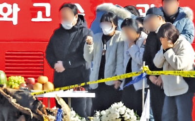 무안공항, 보강공사 때 둔덕 30㎝ 더 높여…국토부 "전국 전수조사"